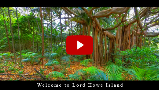 lord howe island